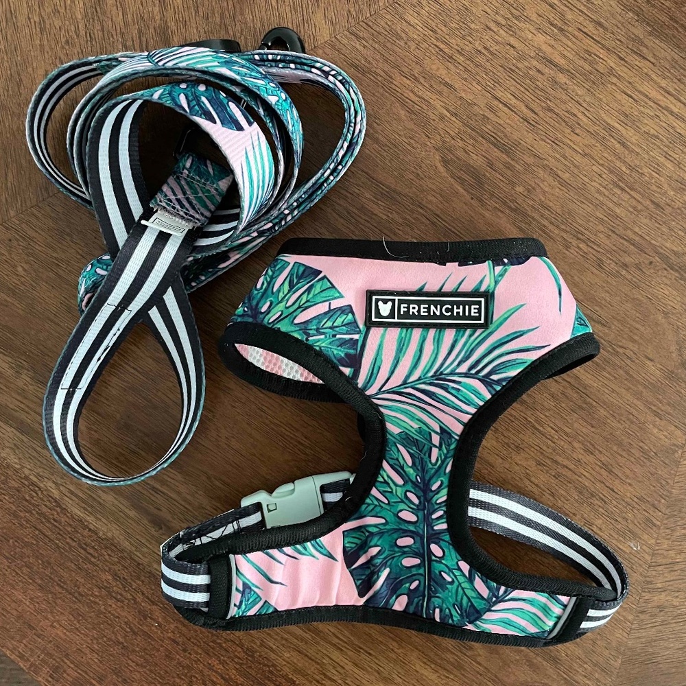 TWO Frenchie Bulldog Reversible Harness w/ ONE Coordinating Leash - Size S